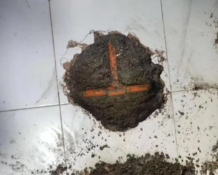 杜尔伯特查漏水多少钱
