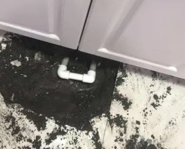 杜尔伯特查漏水哪家好